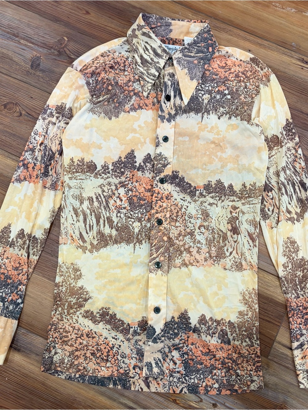 Vintage 70s Monzini Butterfly Dagger Collar Disco Shirt